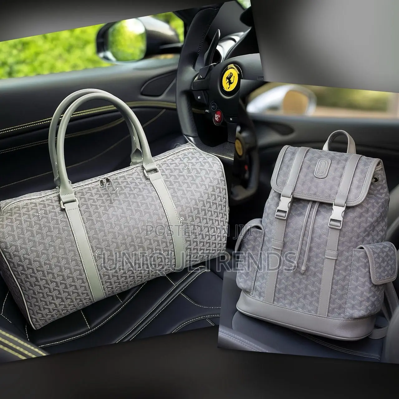 Goyard Travel Bags Set