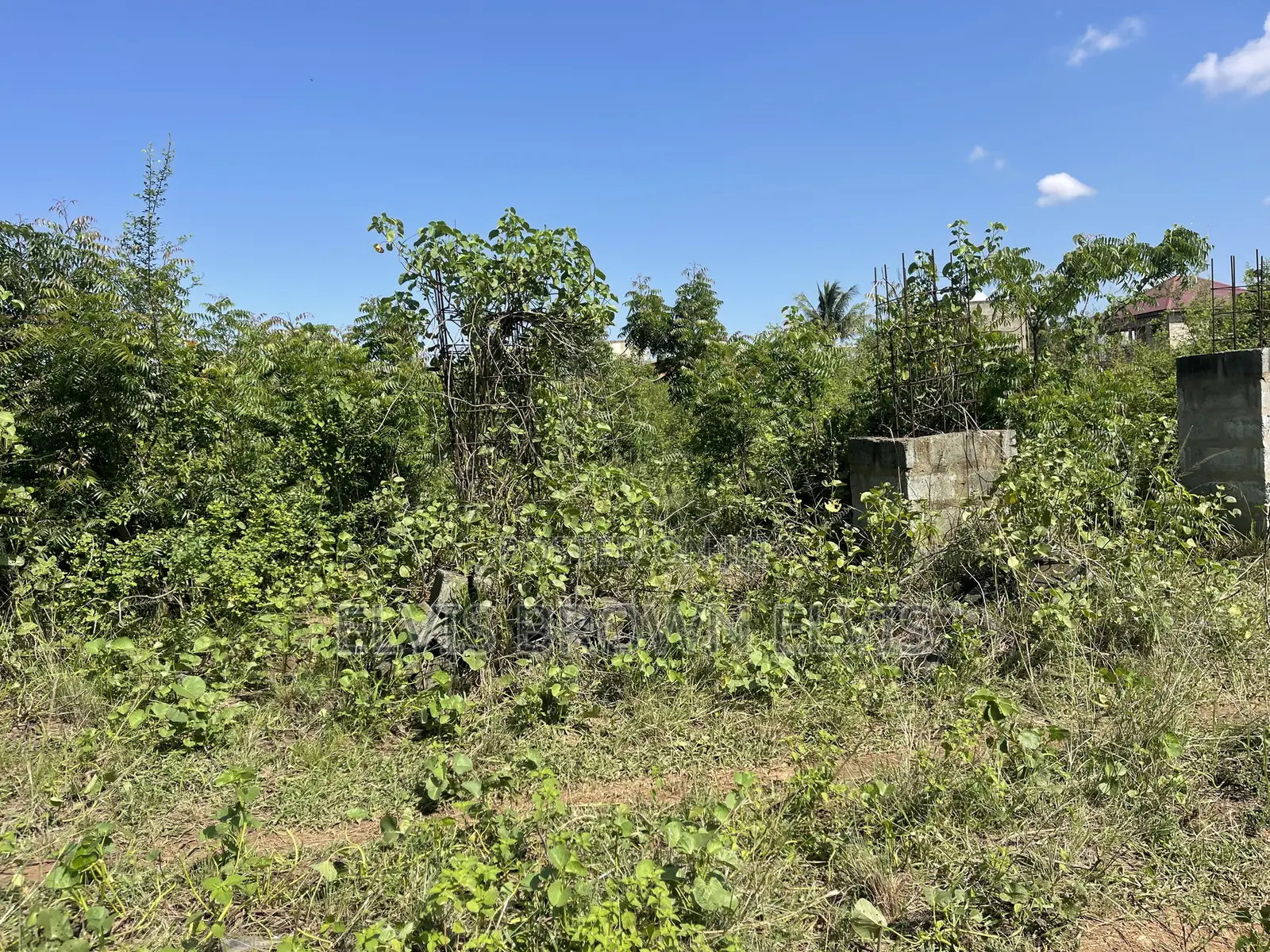 Litigation Free Plot of Land for Sale at the Back Lakesid