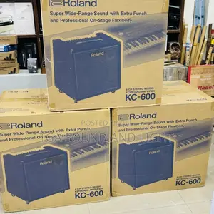 Roland Kc600 Keyboard Amplifier