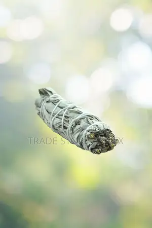 White Sage Smudge Sticks