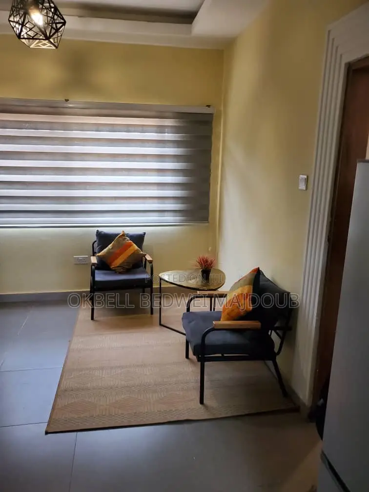 Furnished Studio Apartment in Anowa Villa, Old Ashomang for rent