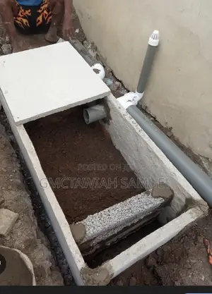 Original Biodigester Toilets Man