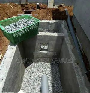 Original Biodigester Toilets Man