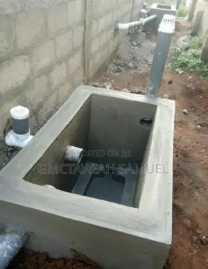 Original Biodigester Toilets Man