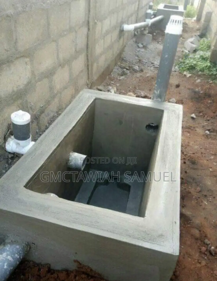 Original Biodigester Toilets Man