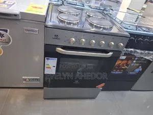 Portable Nasco Full Electric Cooker for Sale