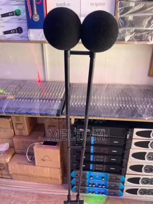 Av Twin Podium Microphone