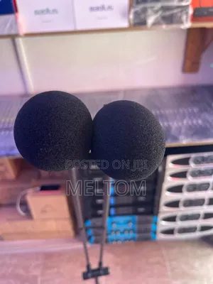 Av Twin Podium Microphone