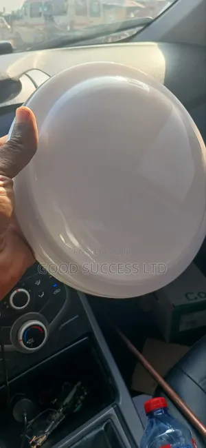 30 Watt Emergency Ceiling Light