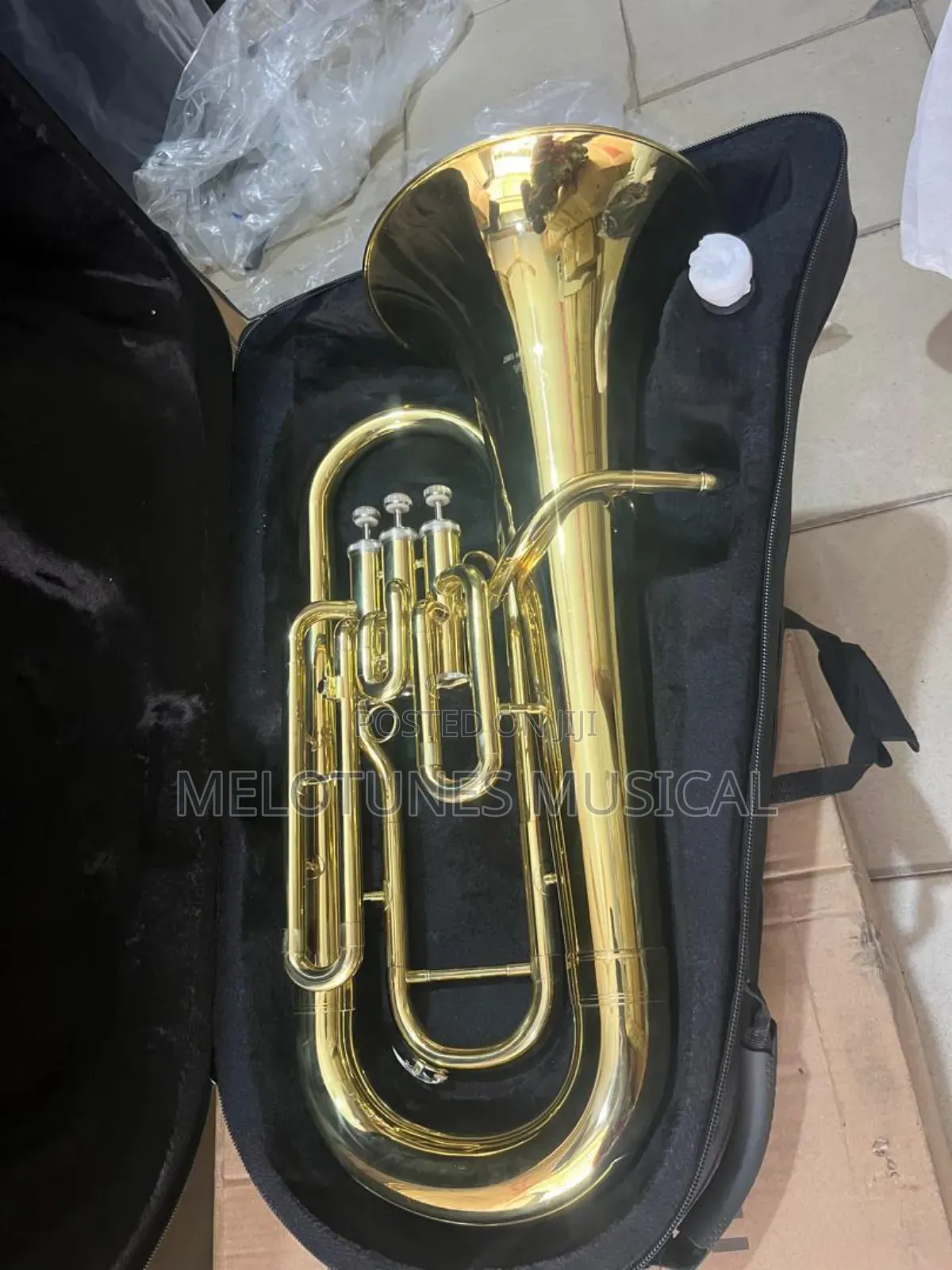 Yamaha Yep-201 Professional Euphonium