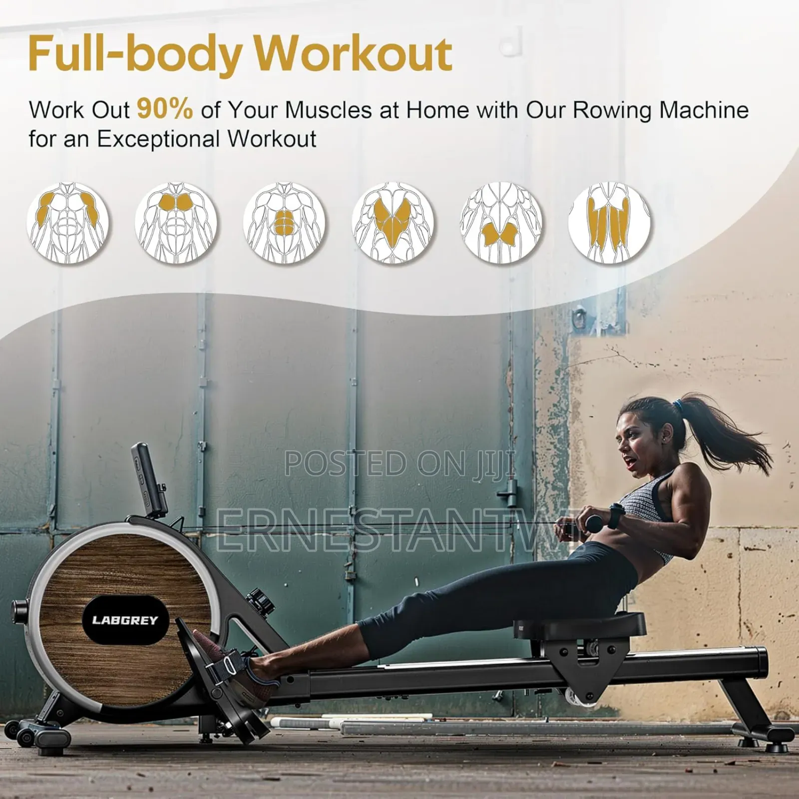 160kg Capacity Magnetic Rowing Machine From Labgrey, Uk