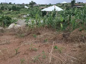 Half Plot of Land for Sale in Sokoban Konkorl