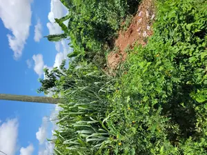 Land for Sale at Santa'si Darko New Site