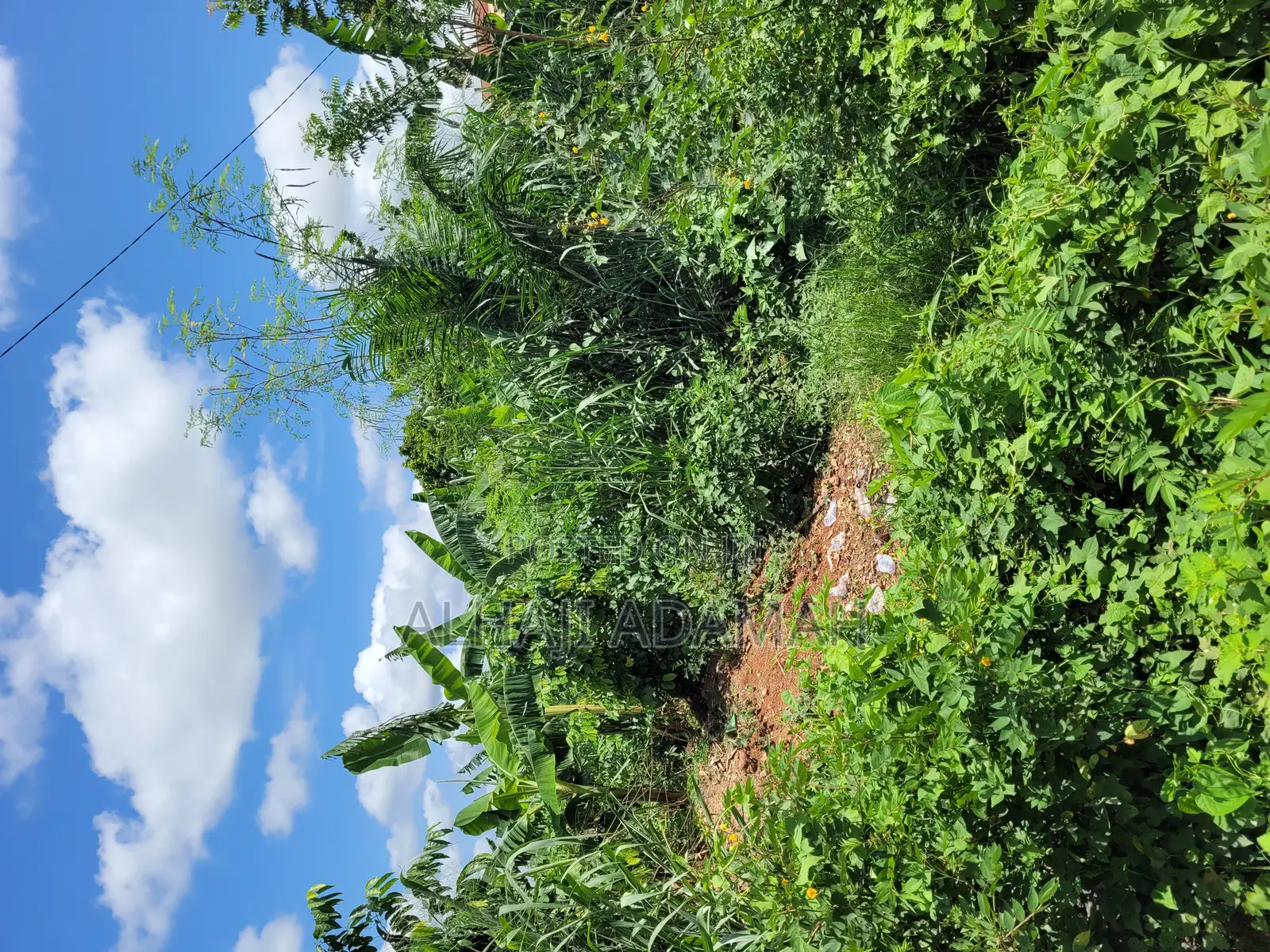 Land for Sale at Santa'si Darko New Site