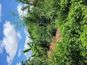 Land for Sale at Santa'si Darko New Site