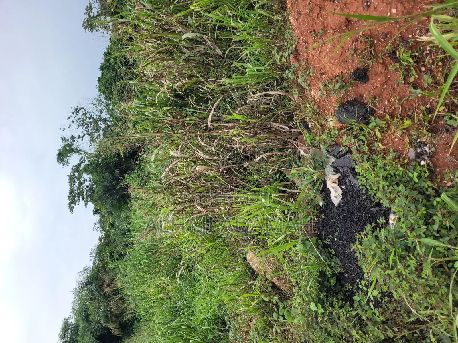 Land for Sale at Santa'si Darko New Site