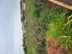 Land for Sale at Santa'si Darko New Site