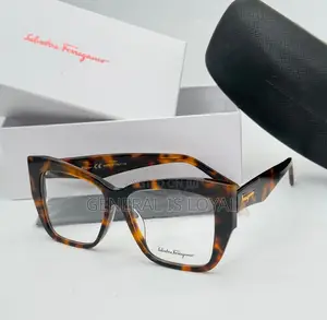 Ladies Salvatore Ferragamo Plain Frame