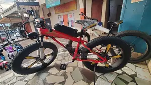 Ben Rors Electric Bikes