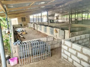 Poultry or Pig Farm for Sale at Kasoa Ofaakor Gada