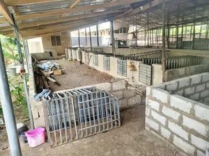 Poultry or Pig Farm for Sale at Kasoa Ofaakor Gada