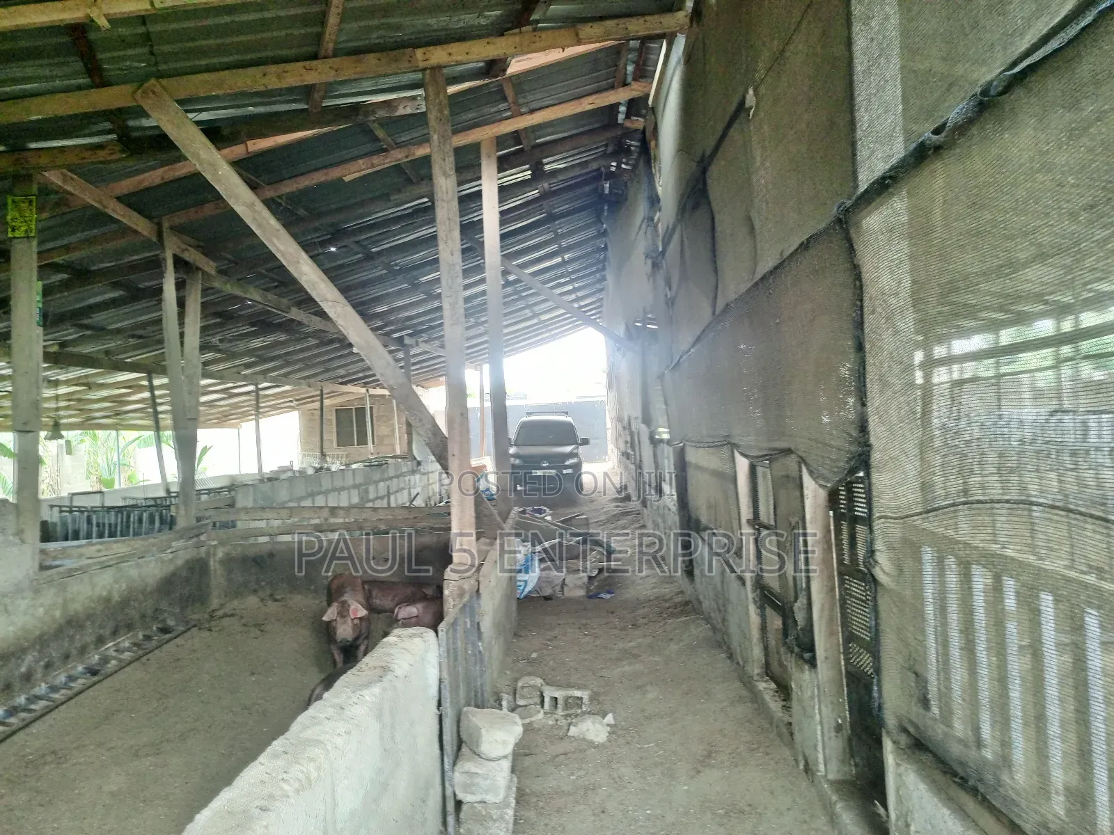 Poultry or Pig Farm for Sale at Kasoa Ofaakor Gada