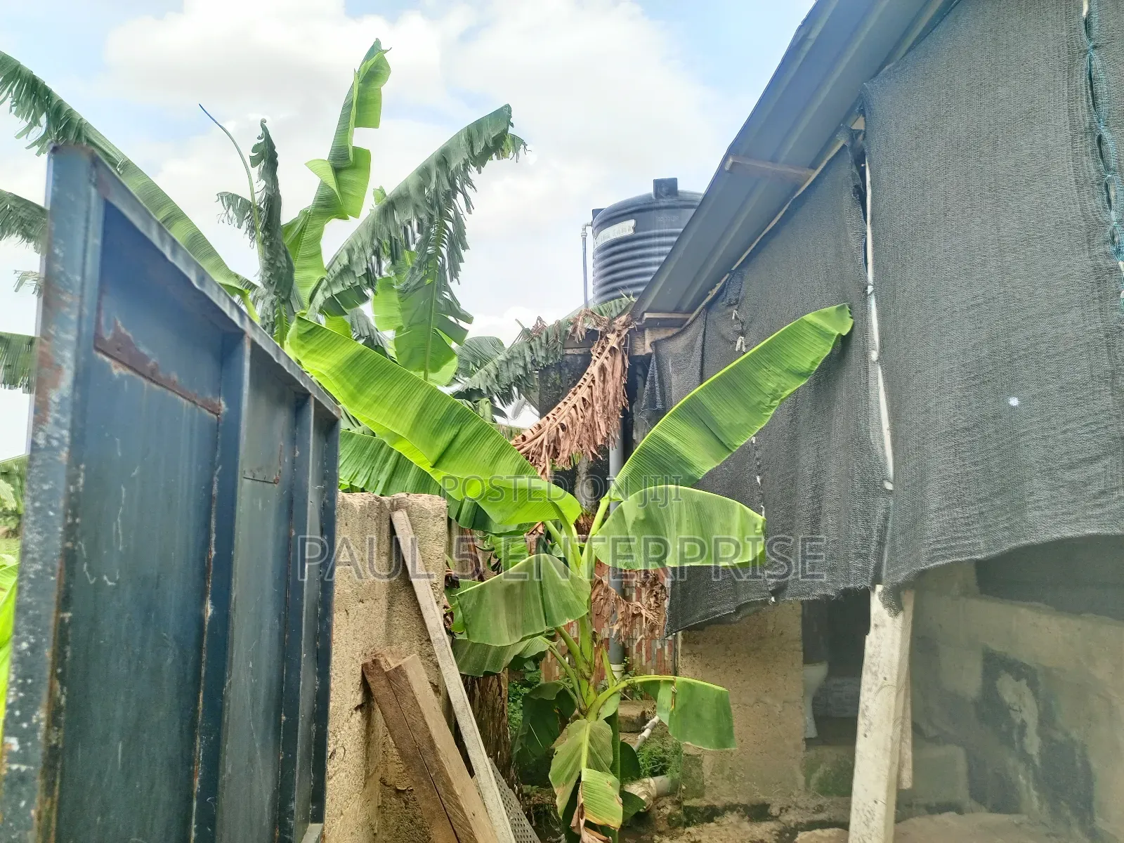Poultry or Pig Farm for Sale at Kasoa Ofaakor Gada