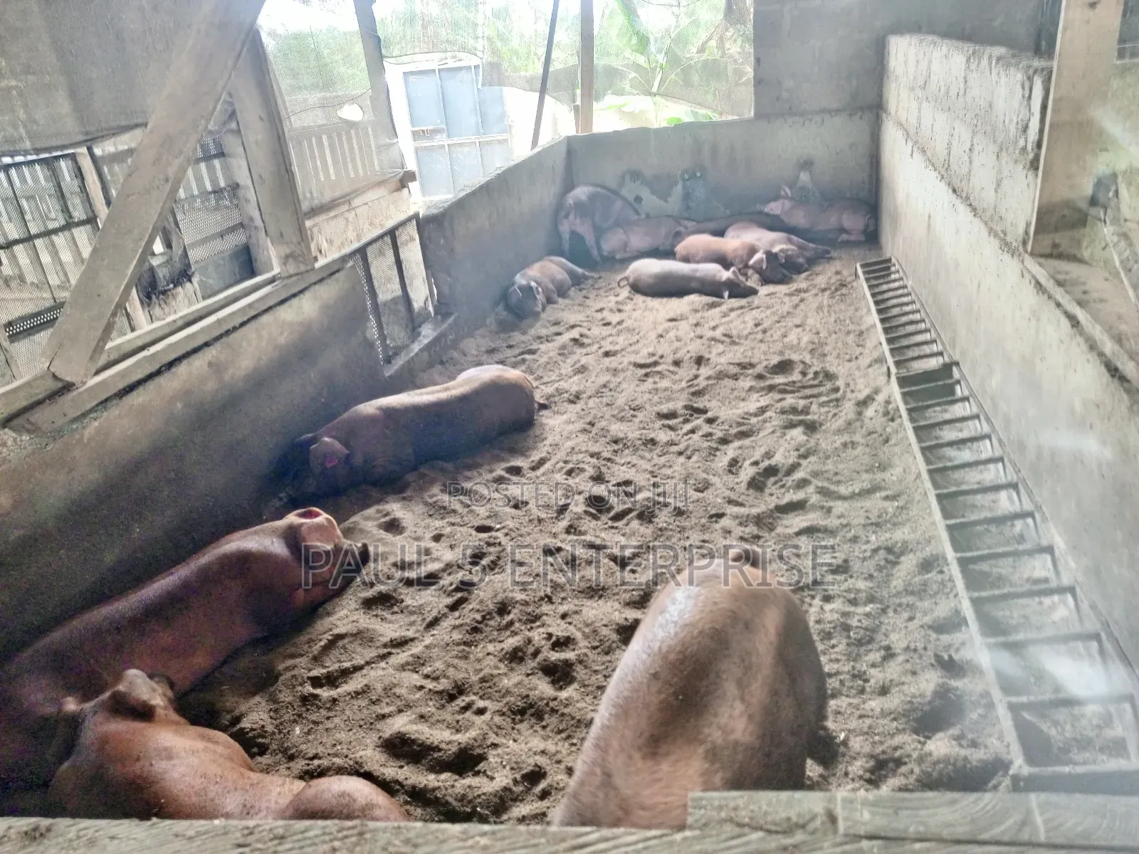 Poultry or Pig Farm for Sale at Kasoa Ofaakor Gada