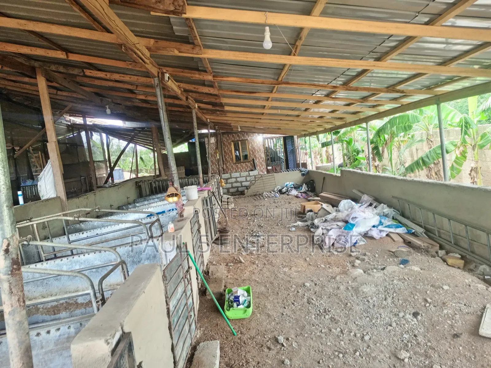 Poultry or Pig Farm for Sale at Kasoa Ofaakor Gada