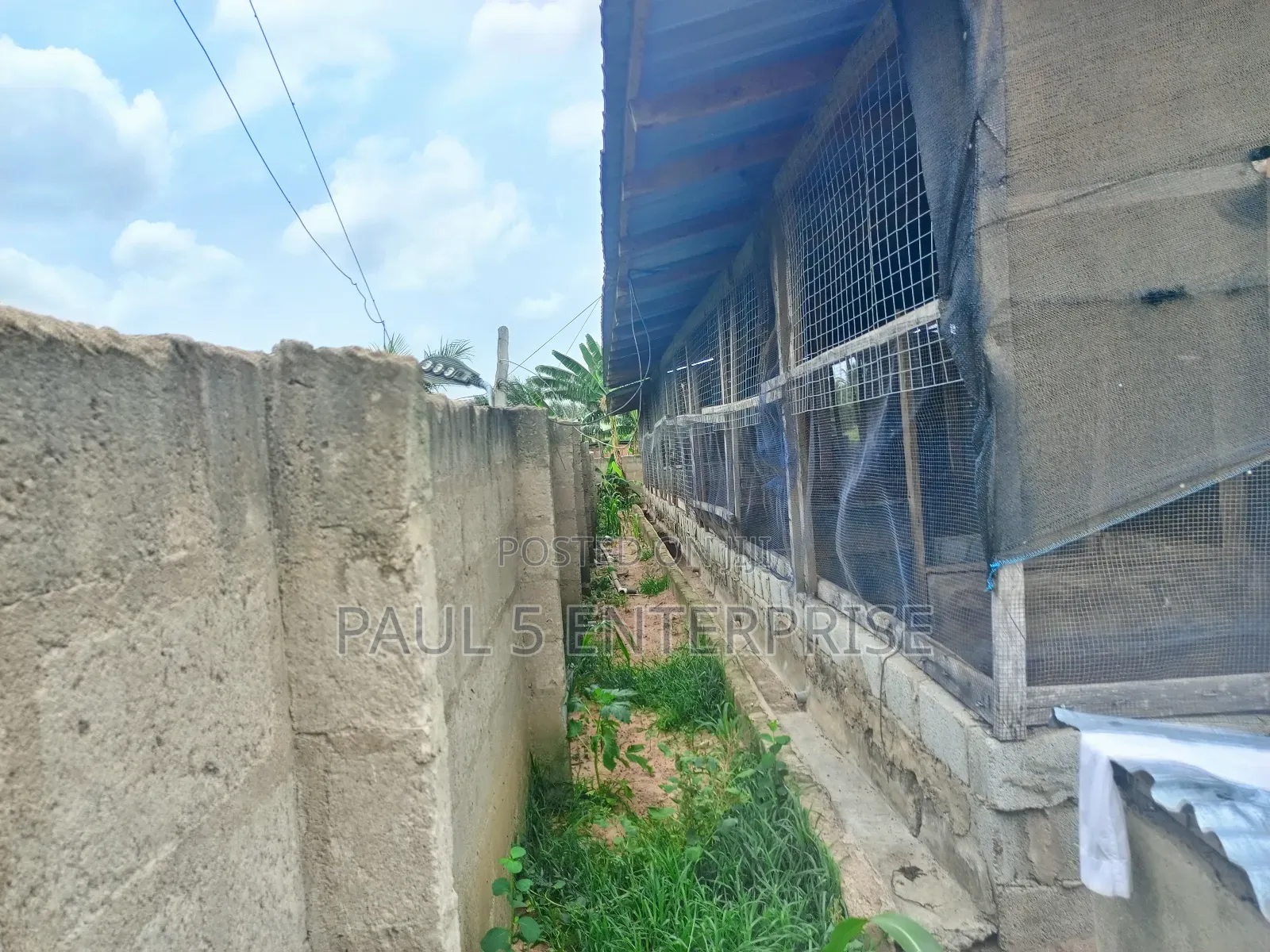 Poultry or Pig Farm for Sale at Kasoa Ofaakor Gada