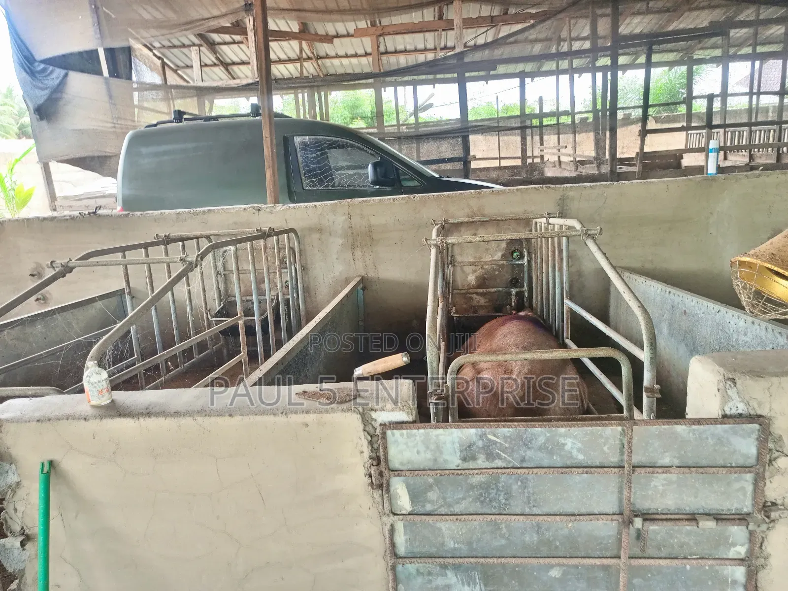 Poultry or Pig Farm for Sale at Kasoa Ofaakor Gada