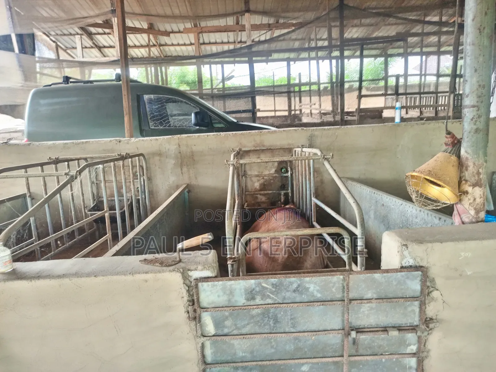 Poultry or Pig Farm for Sale at Kasoa Ofaakor Gada