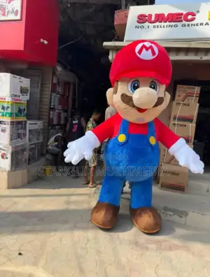 Party Costumes For Rent , All Types