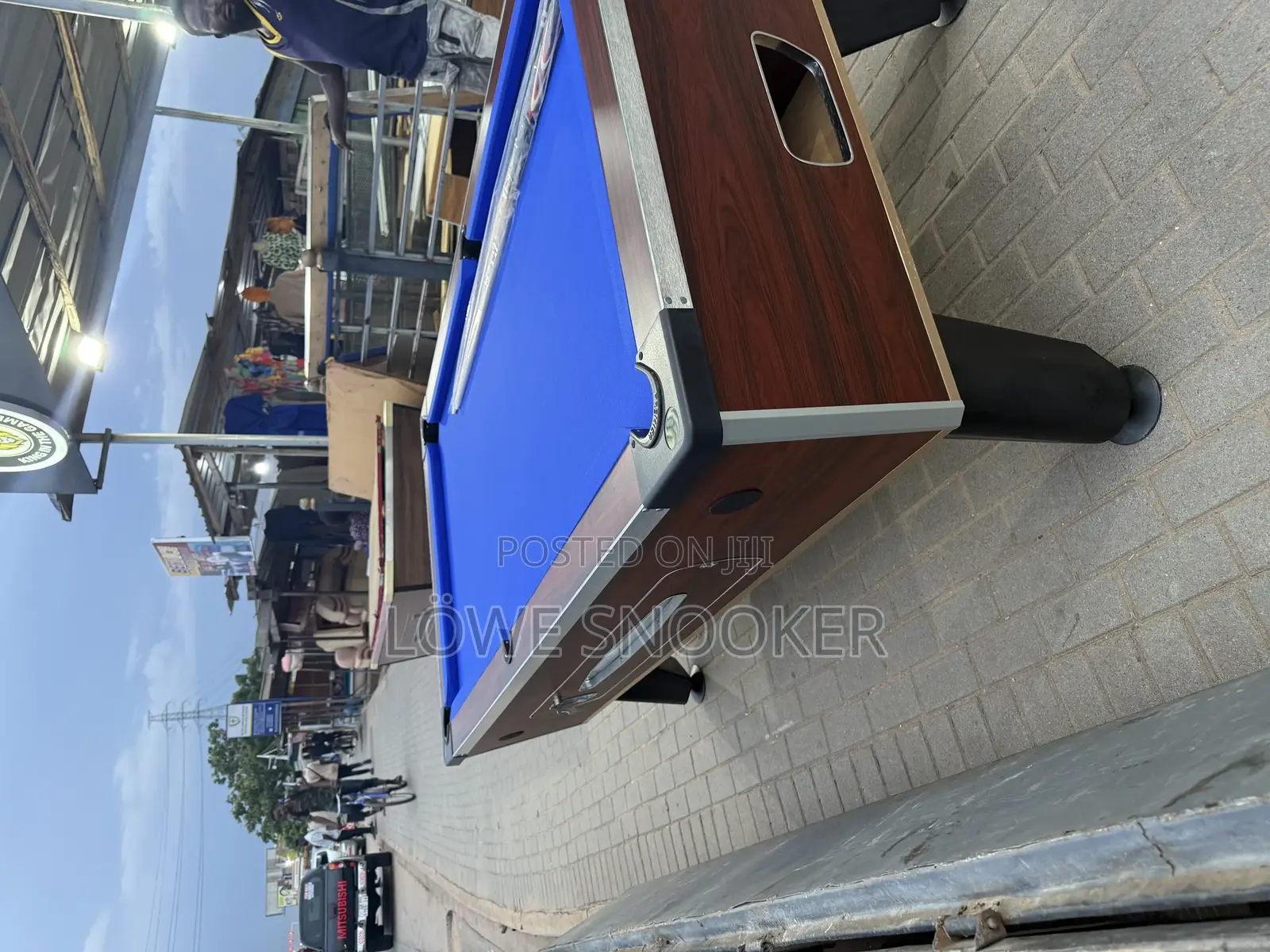 Standard Pool Table From Lowe Pools (Germany)