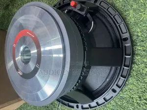 12-Inches Naked Speaker (Jac)Double Magnet