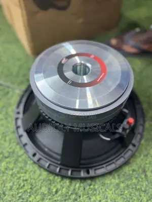 12-Inches Naked Speaker (Jac)Double Magnet