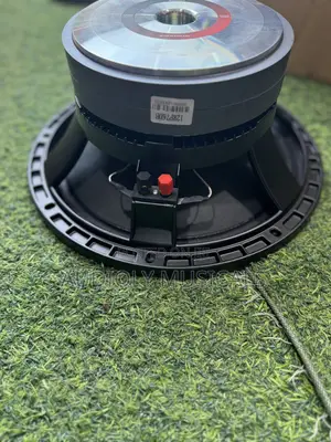 12-Inches Naked Speaker (Jac)Double Magnet