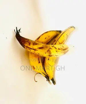 Plantains .Ripe and Unripe