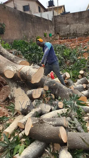 Chainsaw Operation