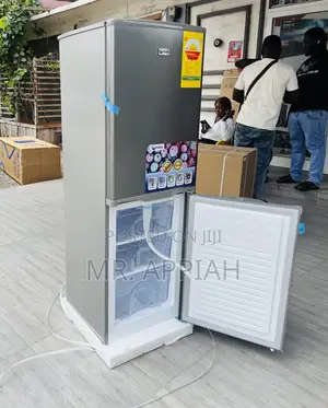 Energy Sufficientpearl Pf -217b -1a Electric Fridge(Silver)