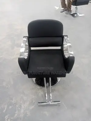 Salon Chair