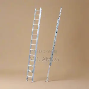 2x10 Steps Aluminum Extension Ladder - Wld8h20