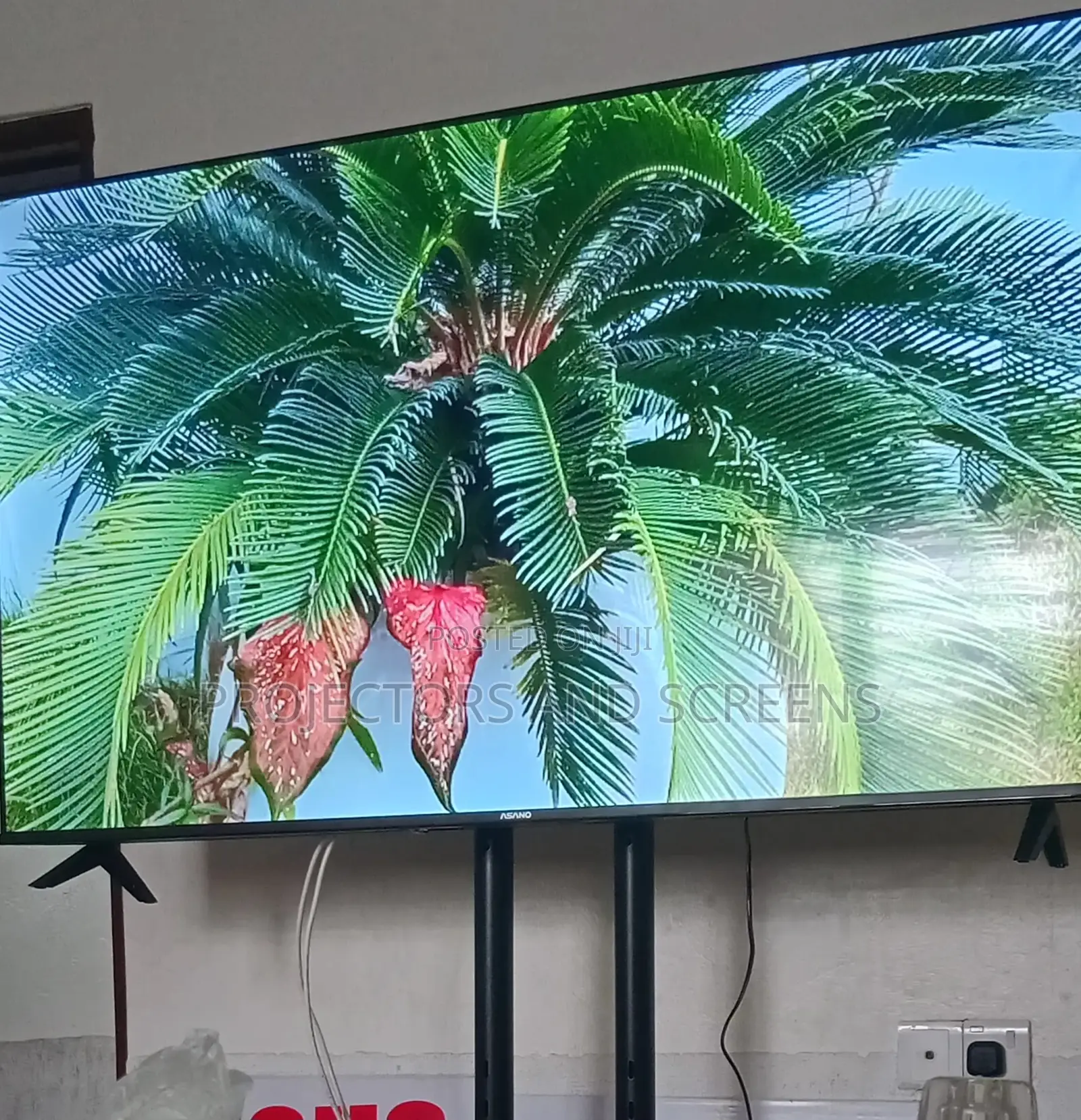 Tv Rent Smart 65" Plus Stand + Delivery+ Wireless Hdmi