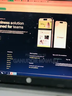 Professional Website Designing and Developing