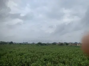 Full Plots of Land for Sale. Indenture Available.