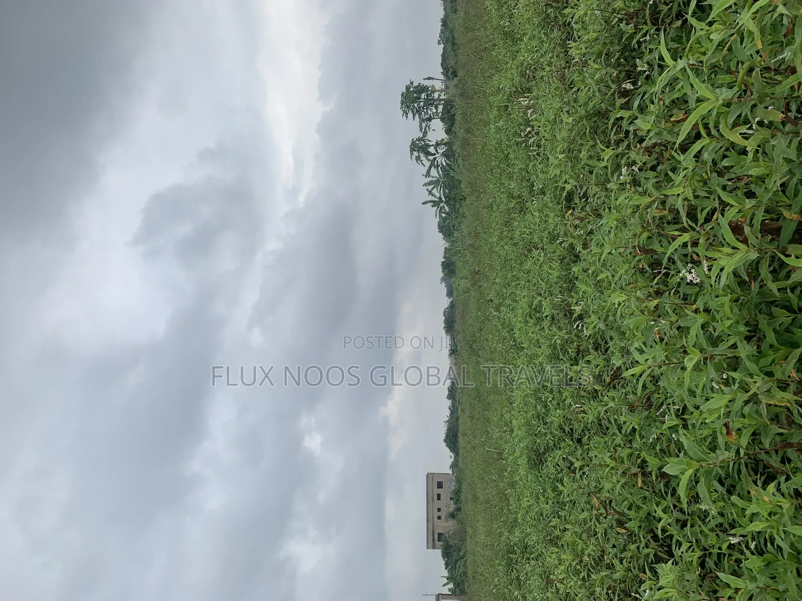 Car for Plots of Land