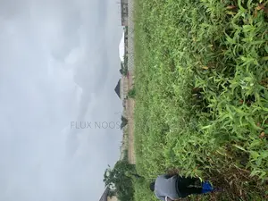 Swap Your Car for a Land