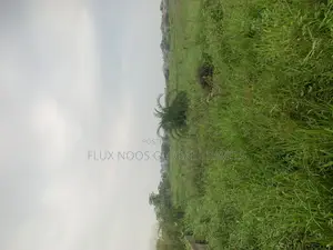 21 to 27 Plots of Land for Sale, Fully Walled.