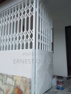 Professional Painter