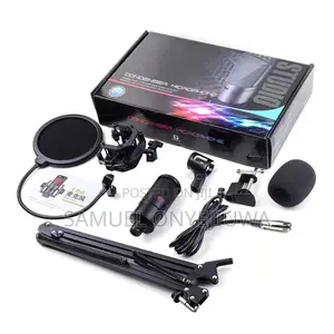 Studio Microphone ( Professional Condenser Mic)